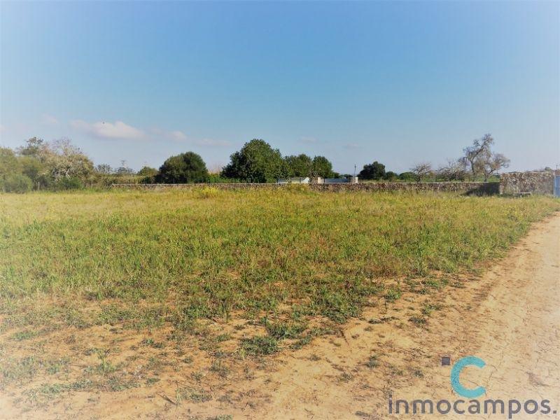 For sale of land in Campos