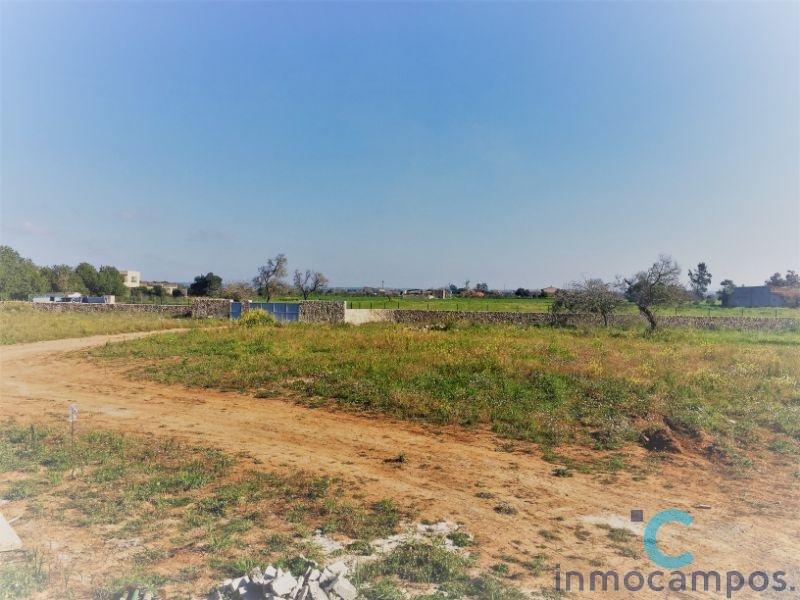 For sale of land in Campos