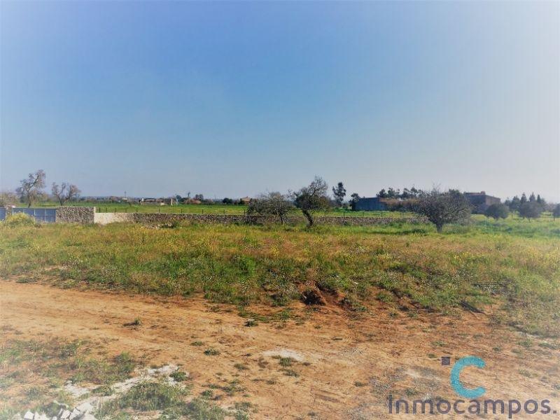 For sale of land in Campos