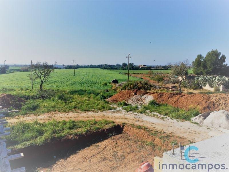 For sale of land in Campos