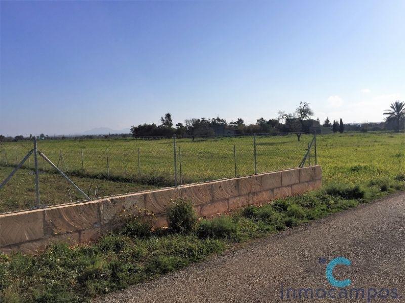 For sale of land in Campos