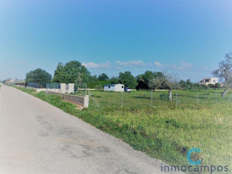 For sale of land in Campos