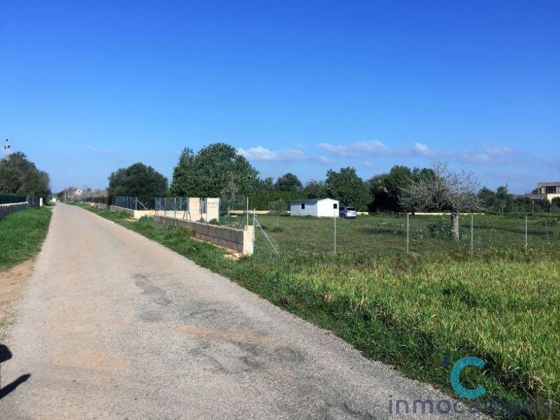 For sale of land in Campos