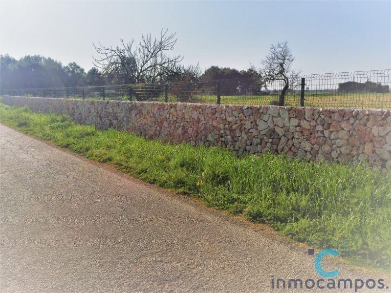 For sale of land in Campos