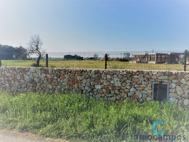 For sale of land in Campos