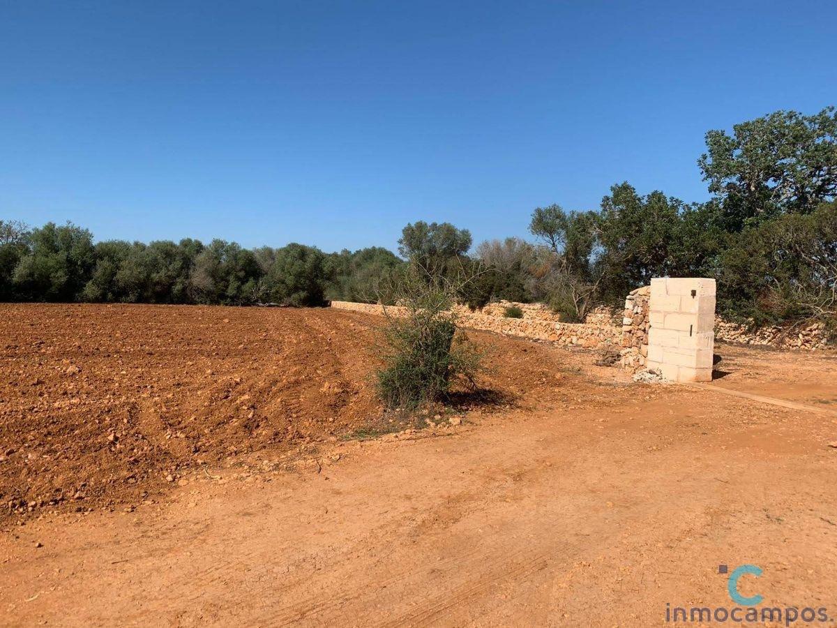 For sale of land in Campos