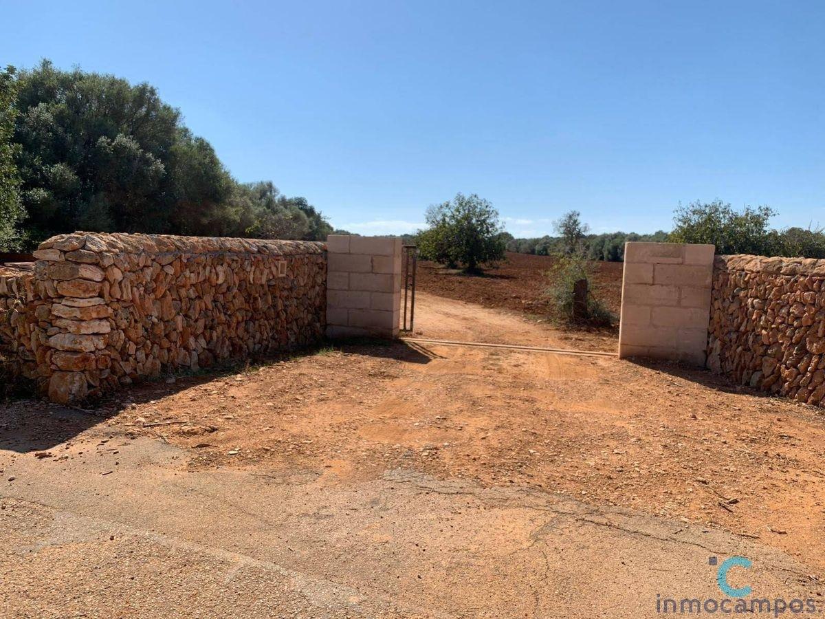 For sale of land in Campos