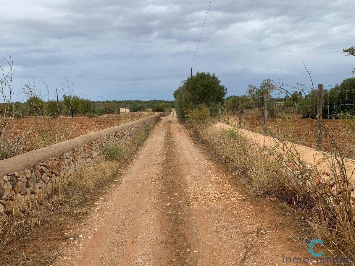 For sale of land in Campos