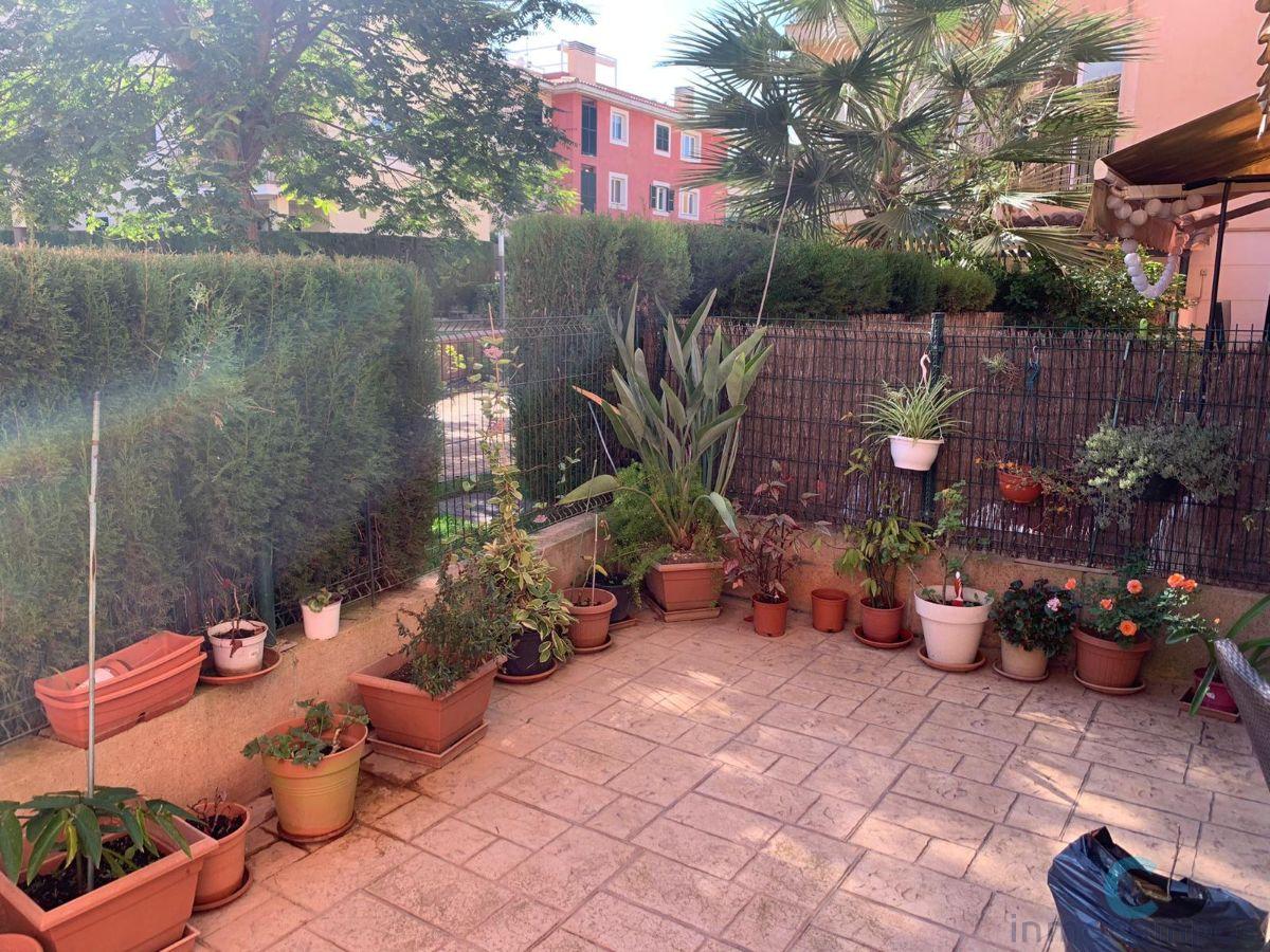 For sale of ground floor in Llucmajor