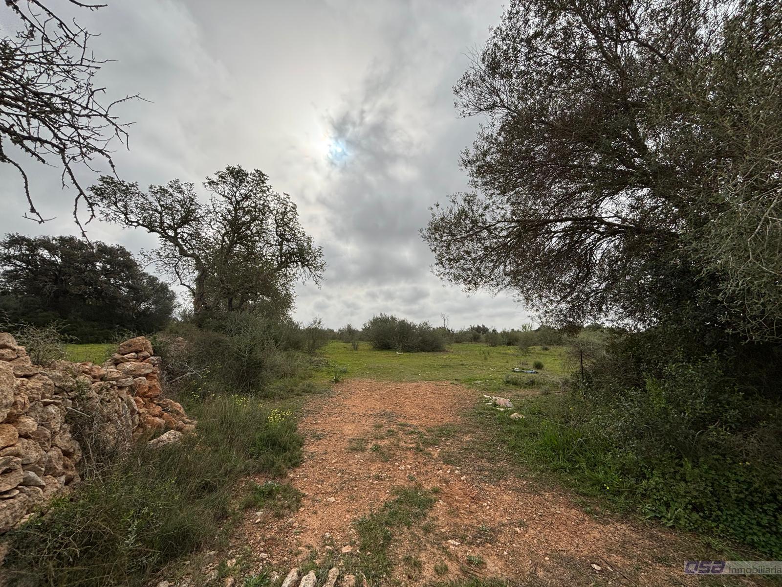 Venta de terreno en Llucmajor