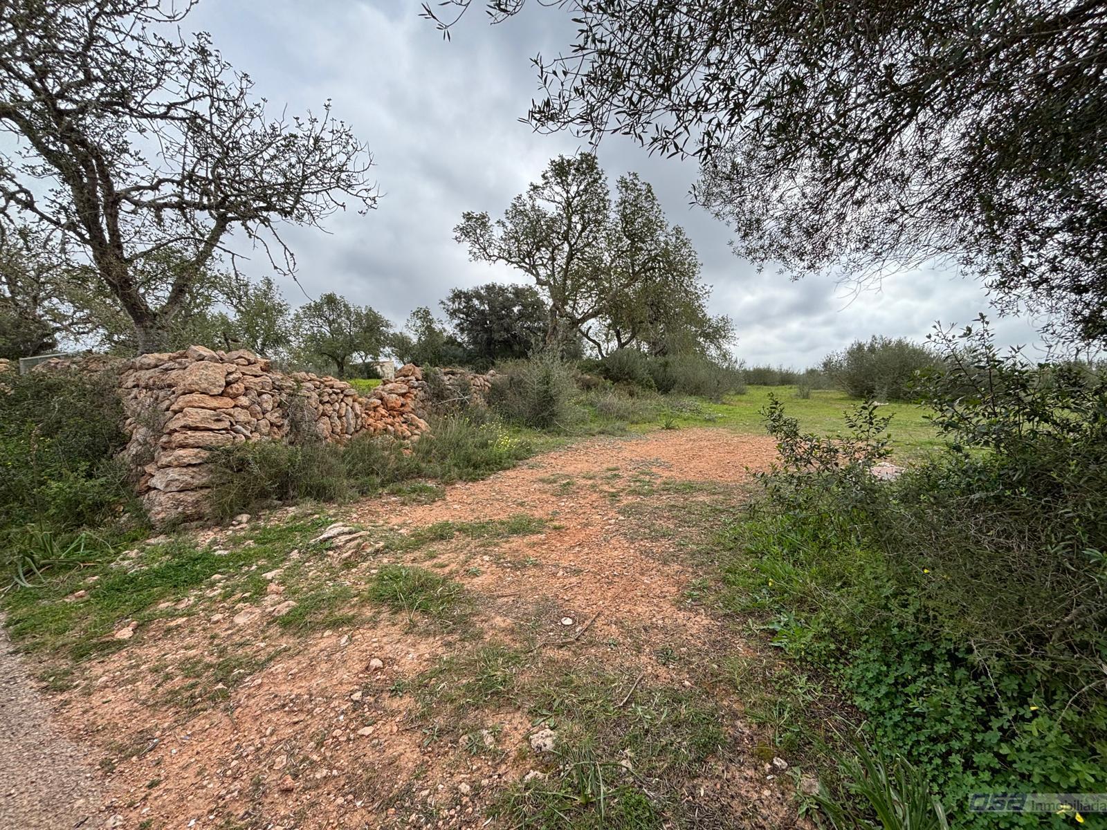 Venta de terreno en Llucmajor