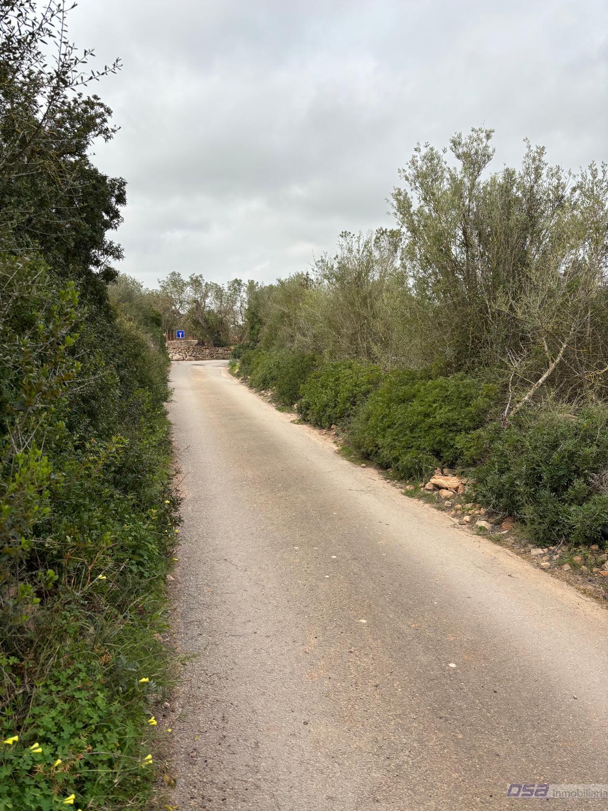 Venta de terreno en Llucmajor