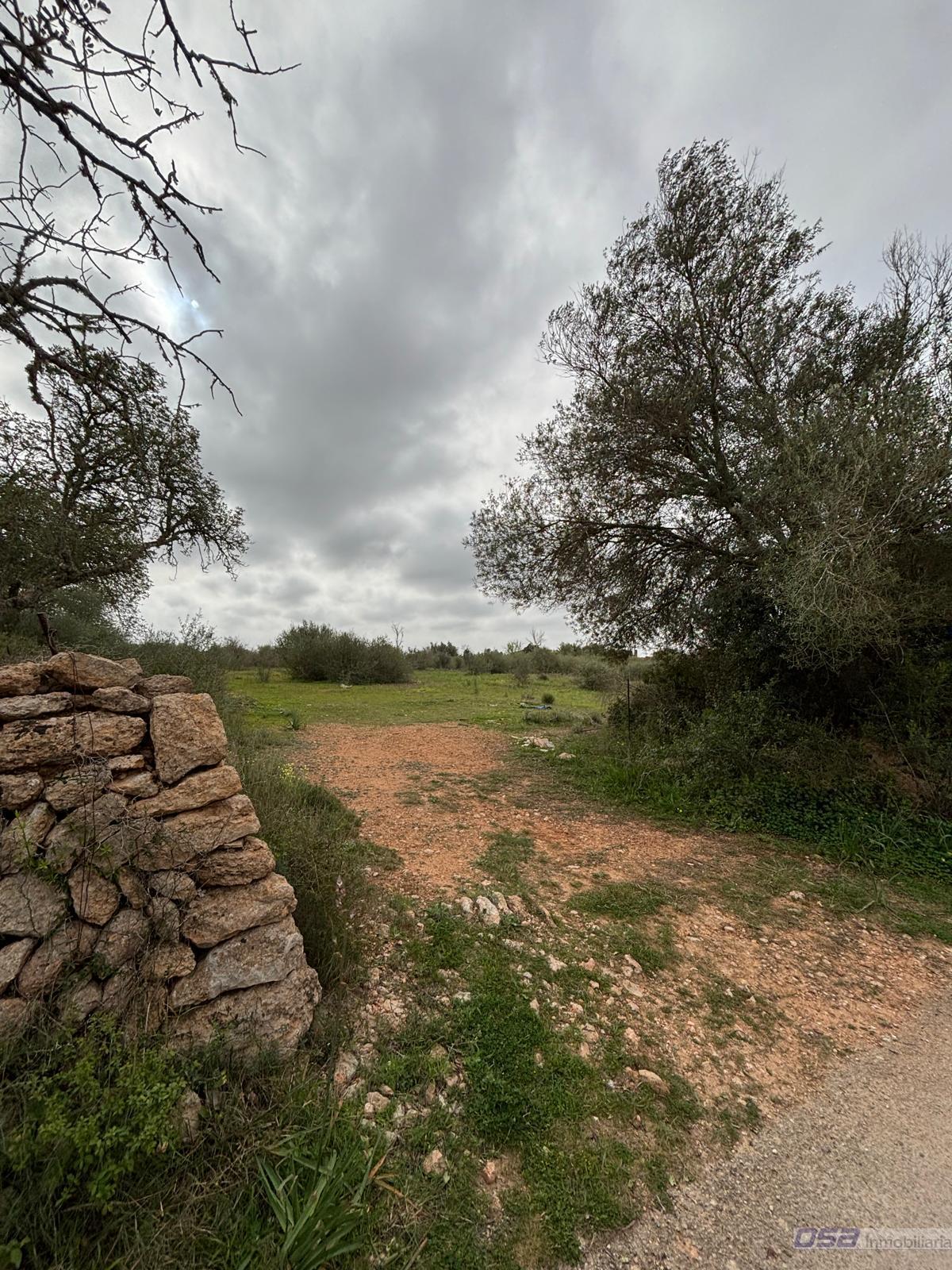 Venta de terreno en Llucmajor