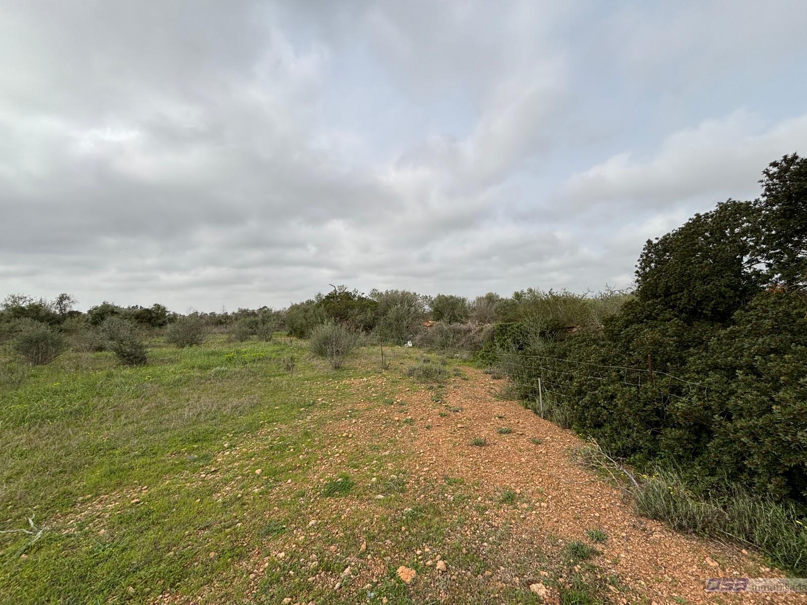 Venta de terreno en Llucmajor