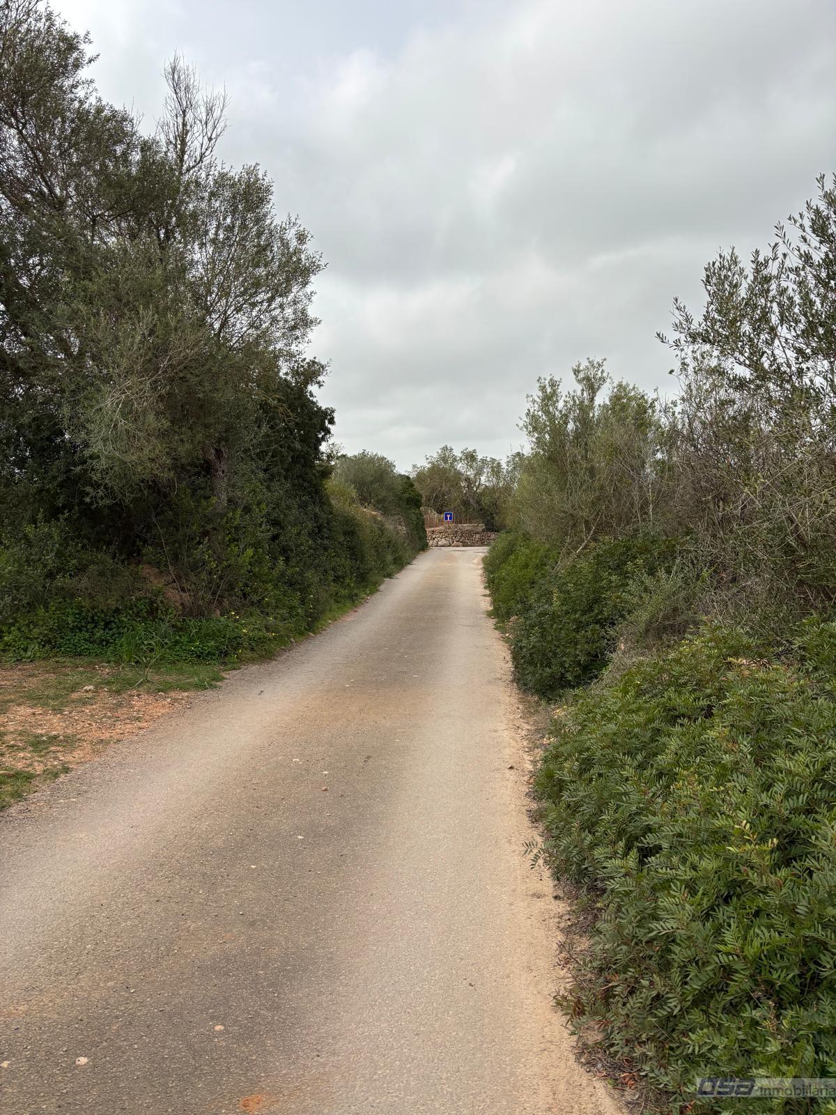 Venta de terreno en Llucmajor