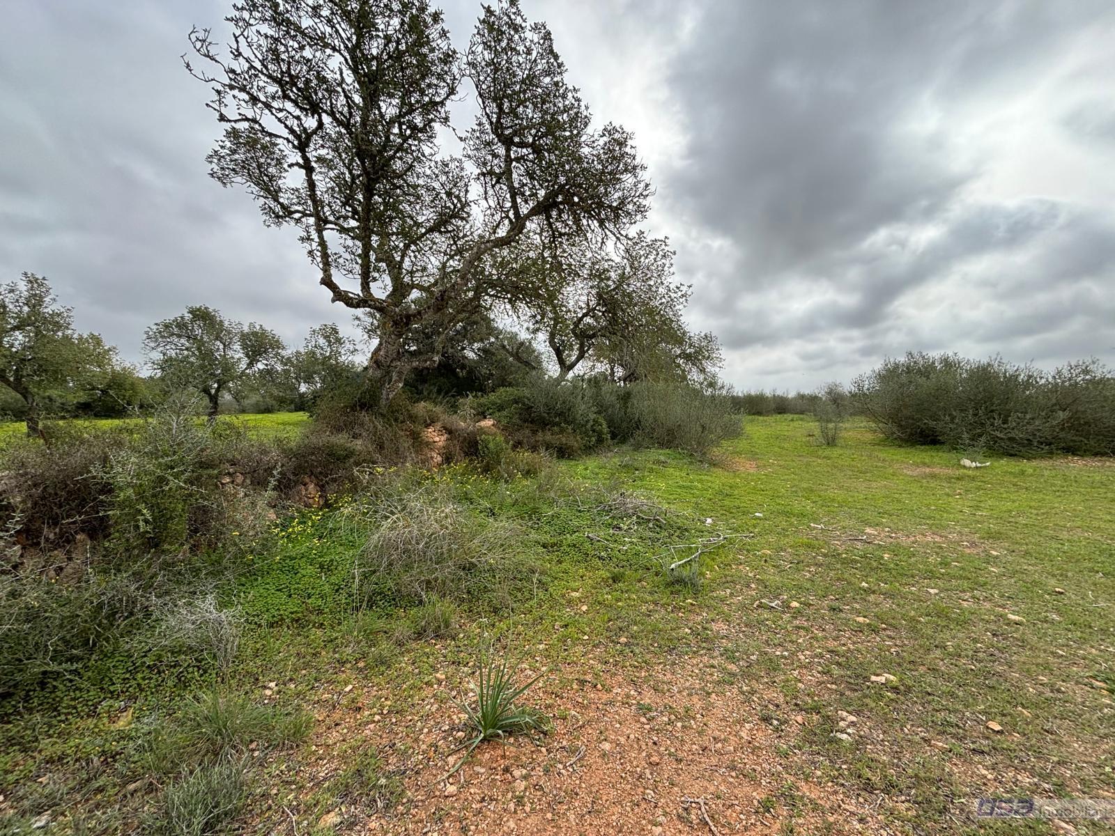 Venta de terreno en Llucmajor