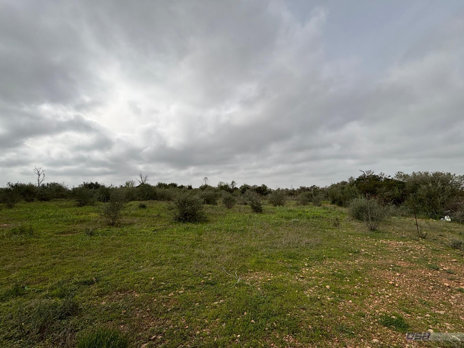 Venta de terreno en Llucmajor