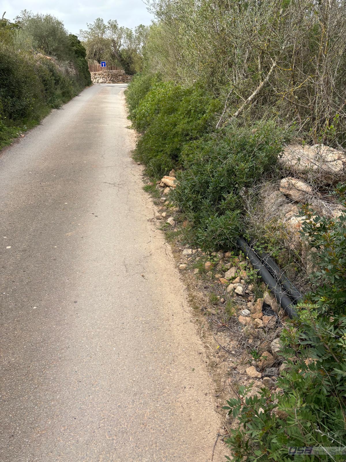 Venta de terreno en Llucmajor