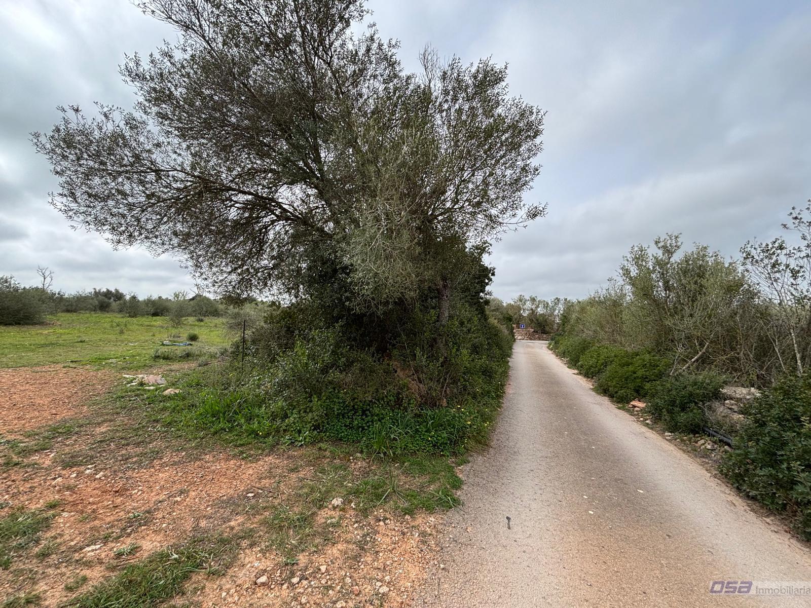 Venta de terreno en Llucmajor