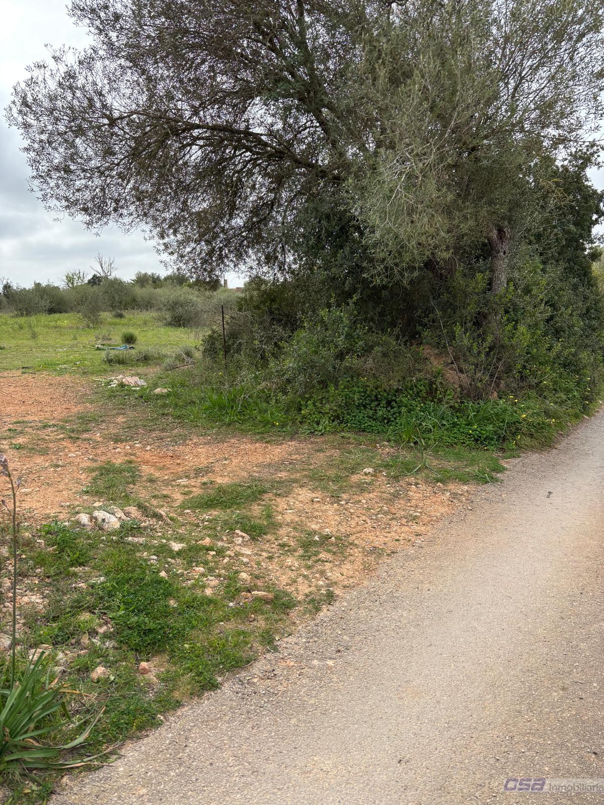 Venta de terreno en Llucmajor