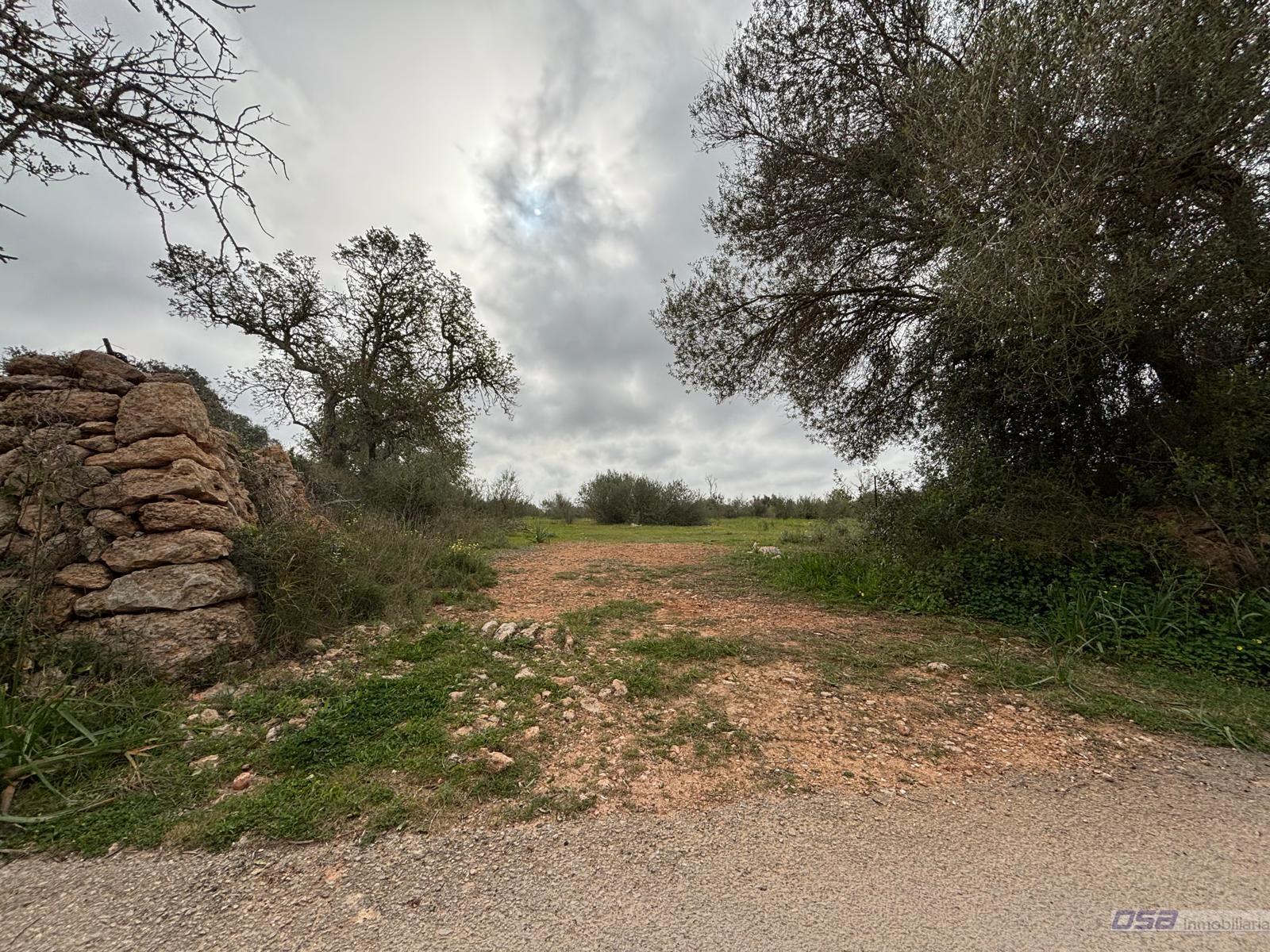 Venta de terreno en Llucmajor