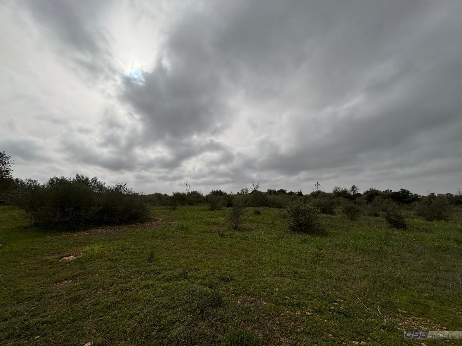 Venta de terreno en Llucmajor