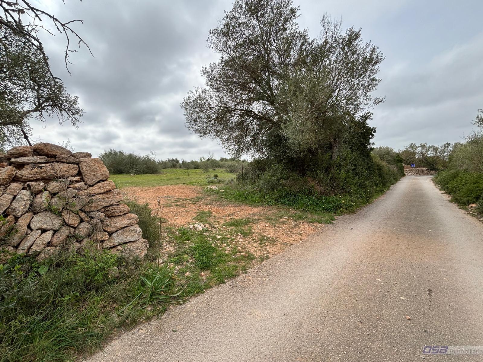 Venta de terreno en Llucmajor