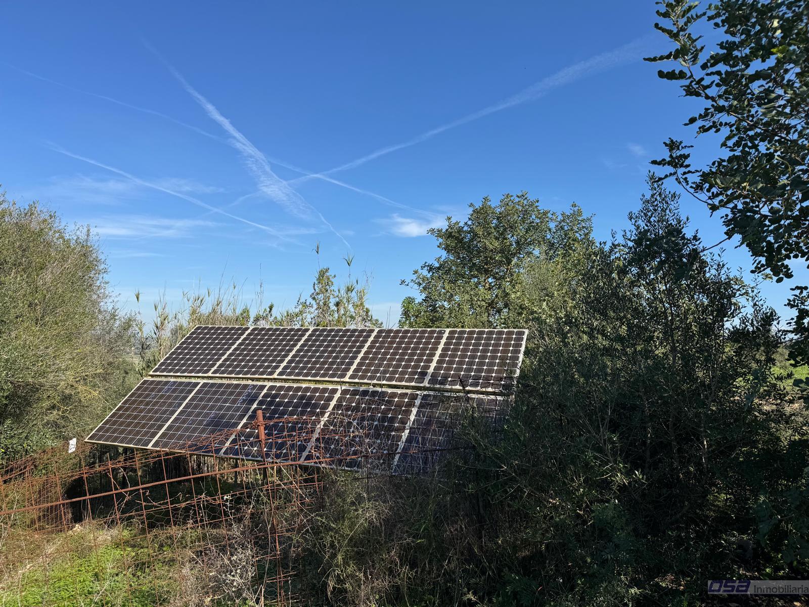 Venta de finca rústica en Montuïri