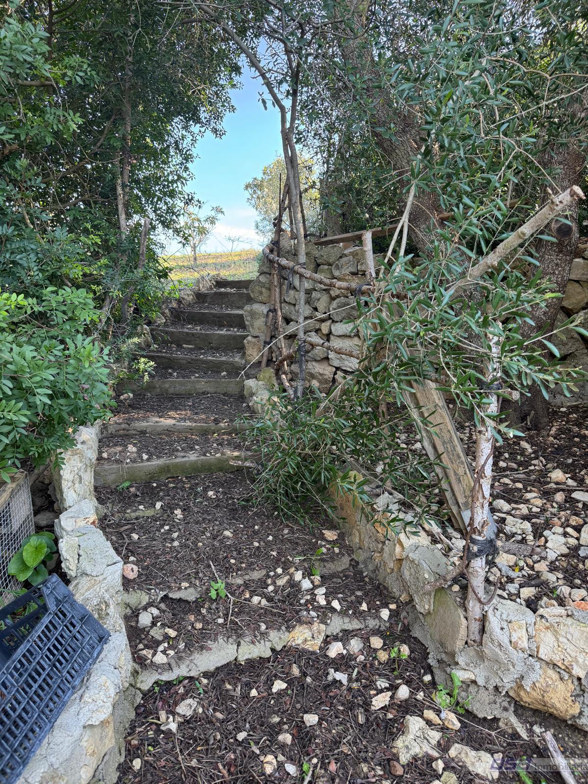 Venta de finca rústica en Montuïri