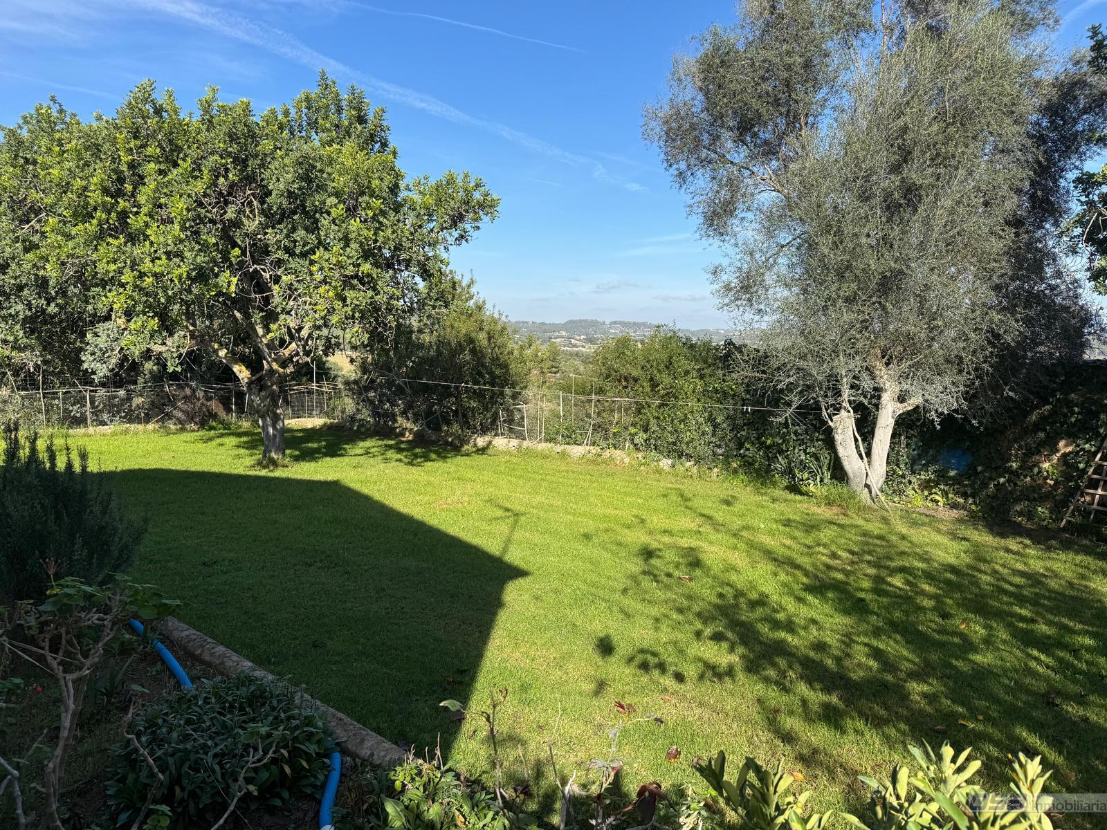 Venta de finca rústica en Montuïri