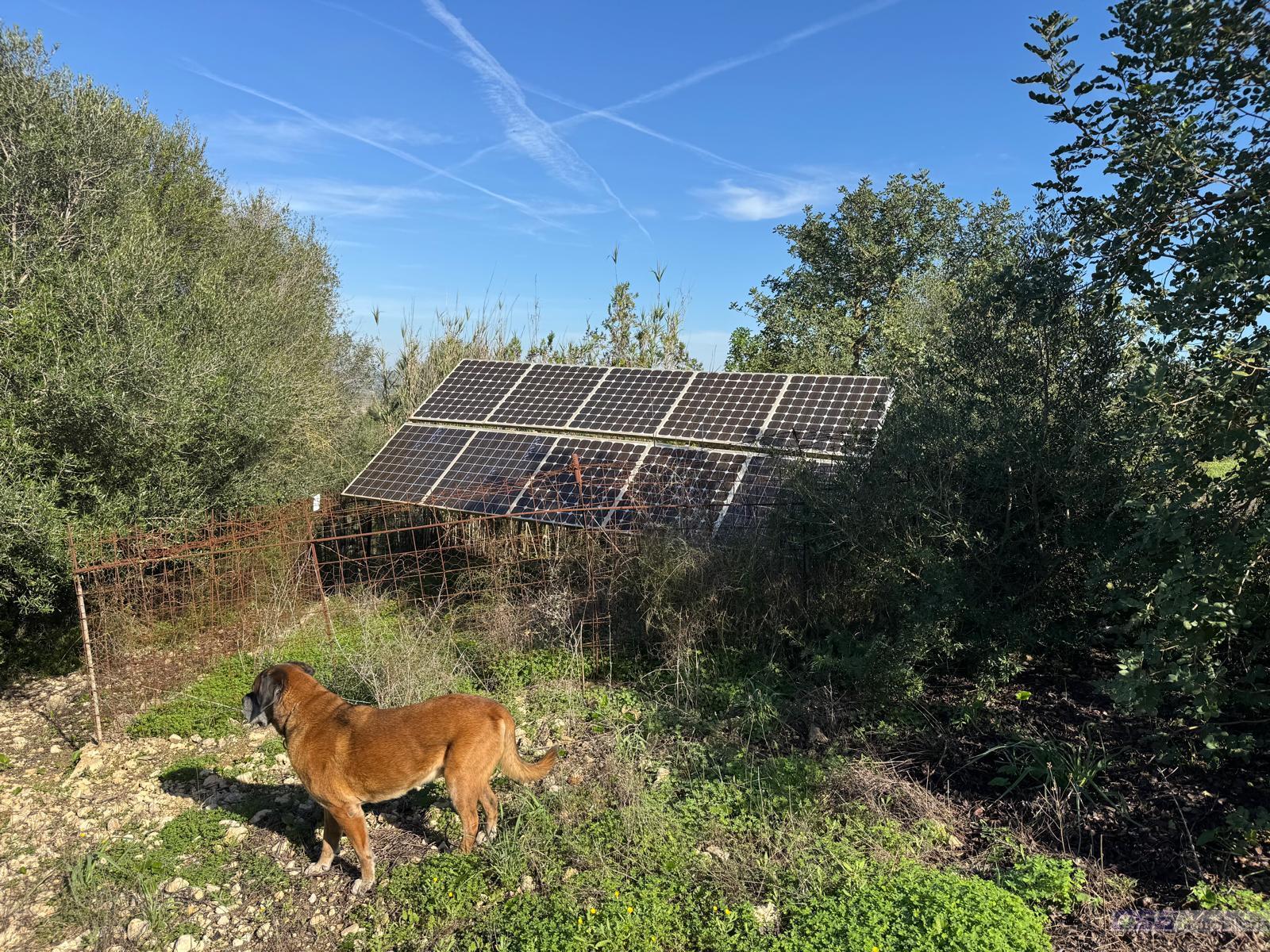 Venta de finca rústica en Montuïri