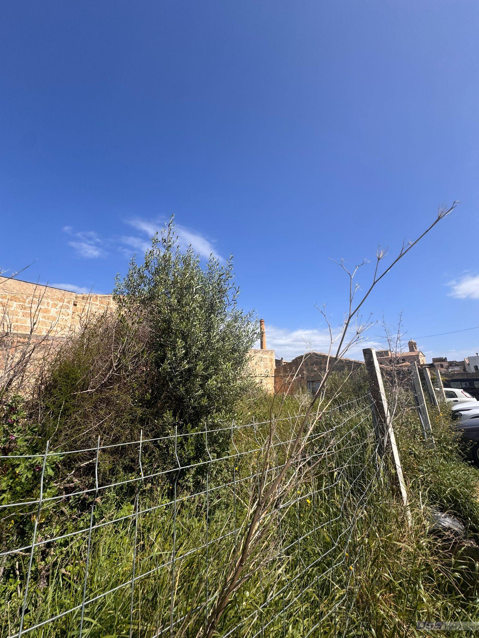 Venta de terreno en Llucmajor