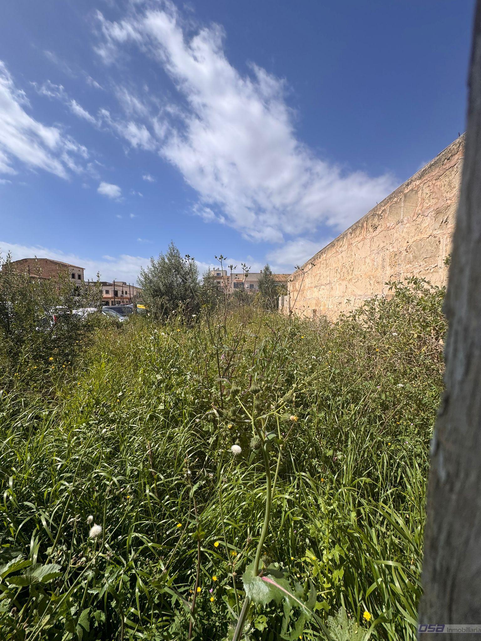 Venta de terreno en Llucmajor