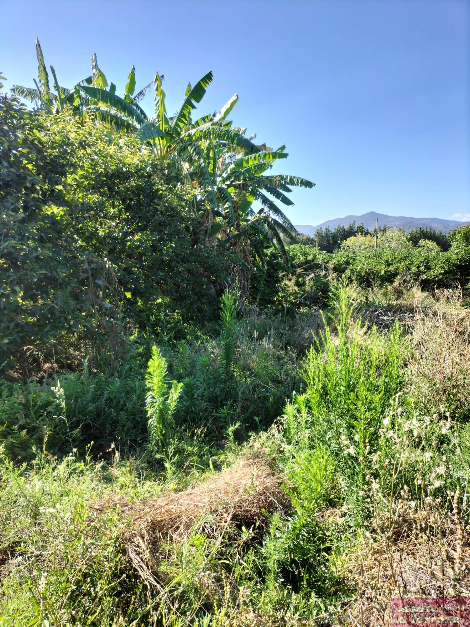 Zu verkaufen von chalet in
 Estepona