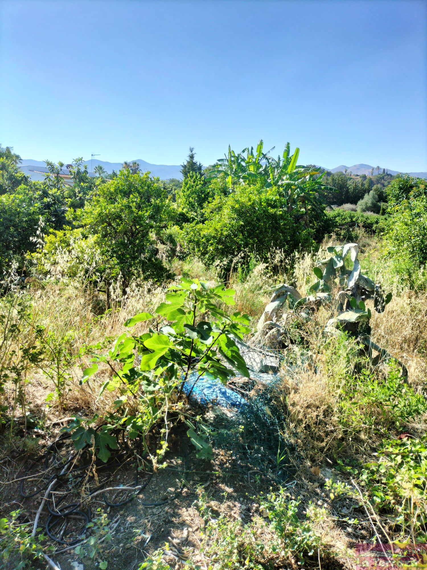 Zu verkaufen von chalet in
 Estepona