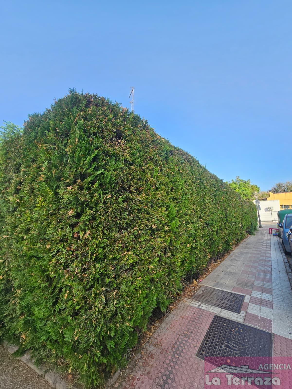 Venta de casa en Estepona