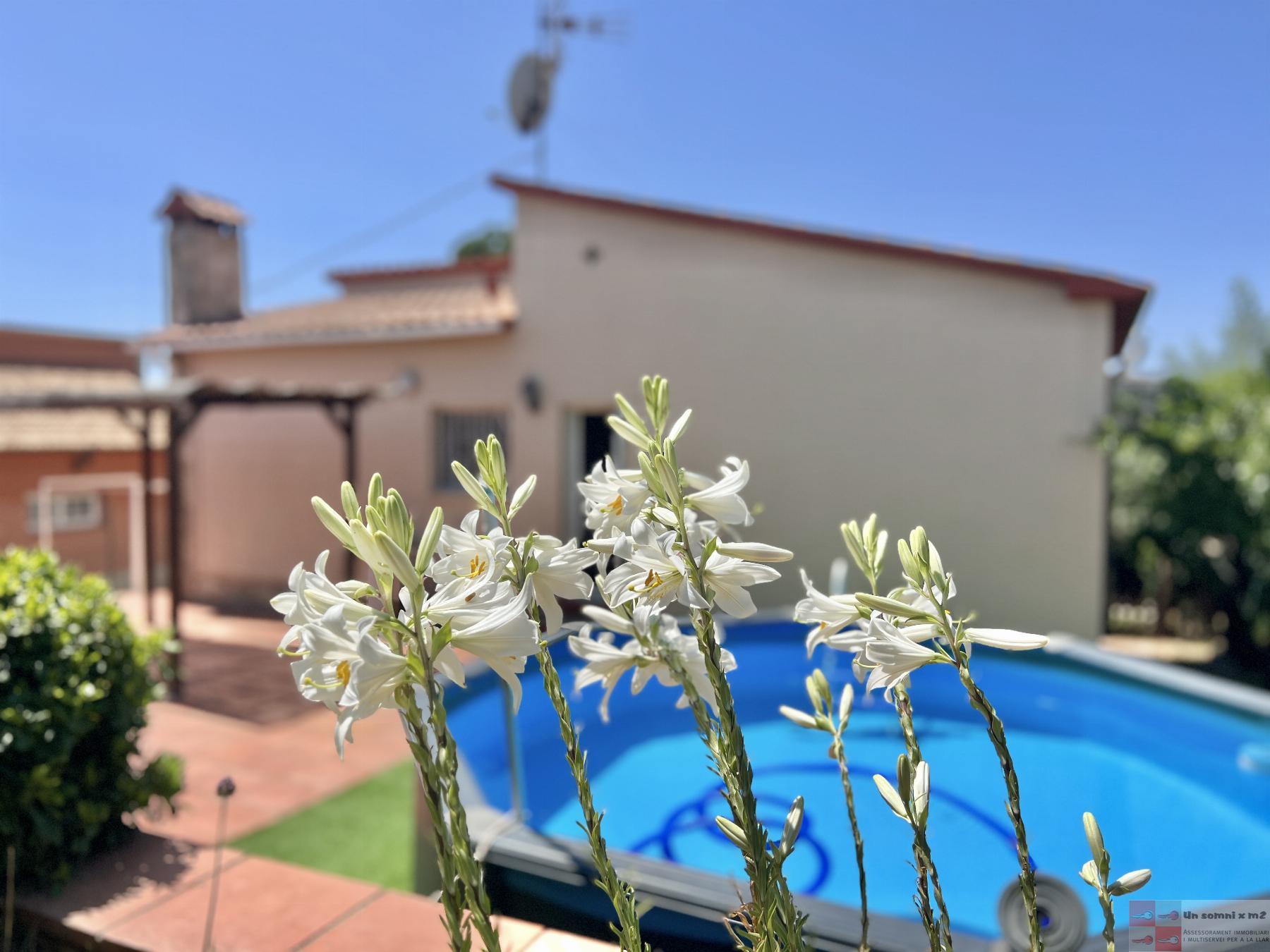 For sale of house in Piera