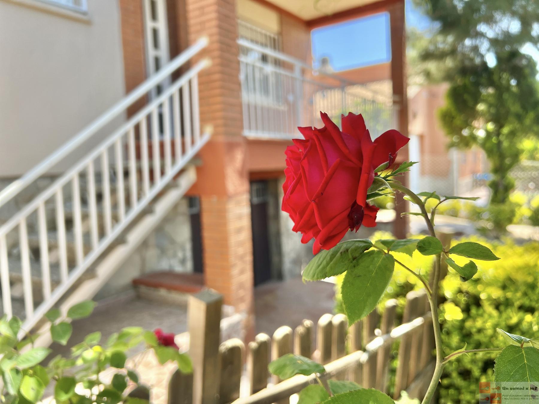 For sale of house in Piera