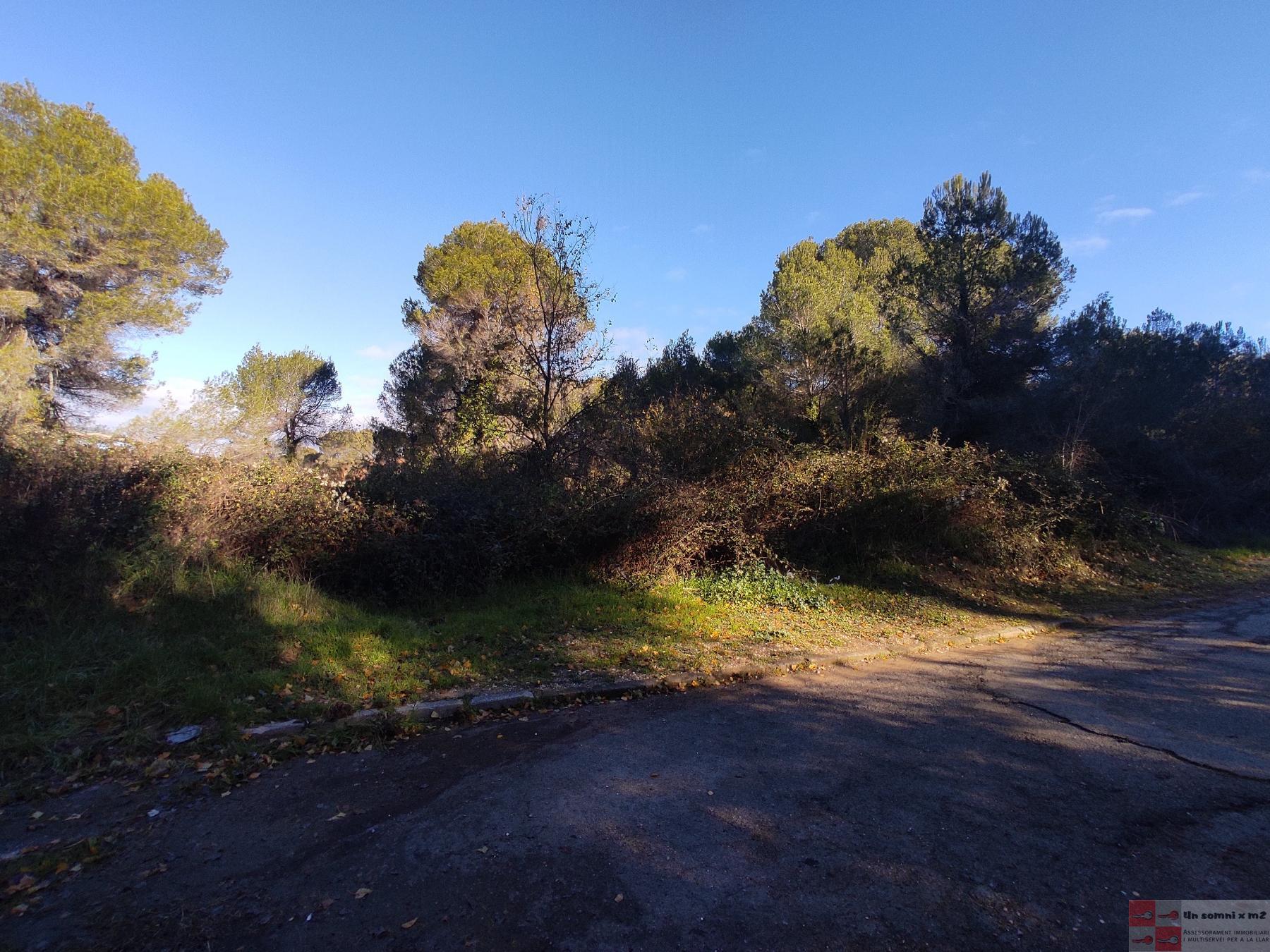 For sale of land in Piera