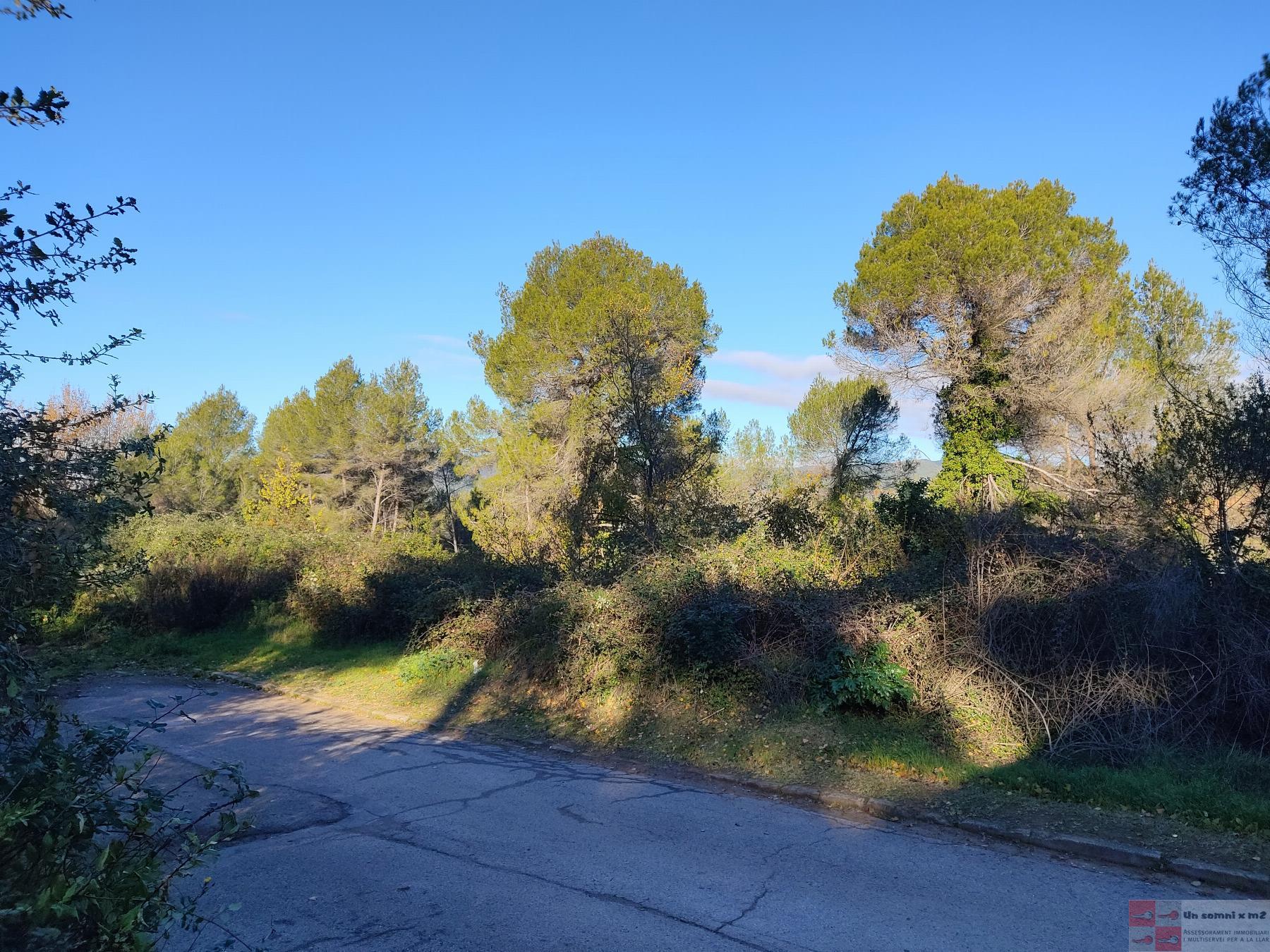 Venda de terreny a Piera