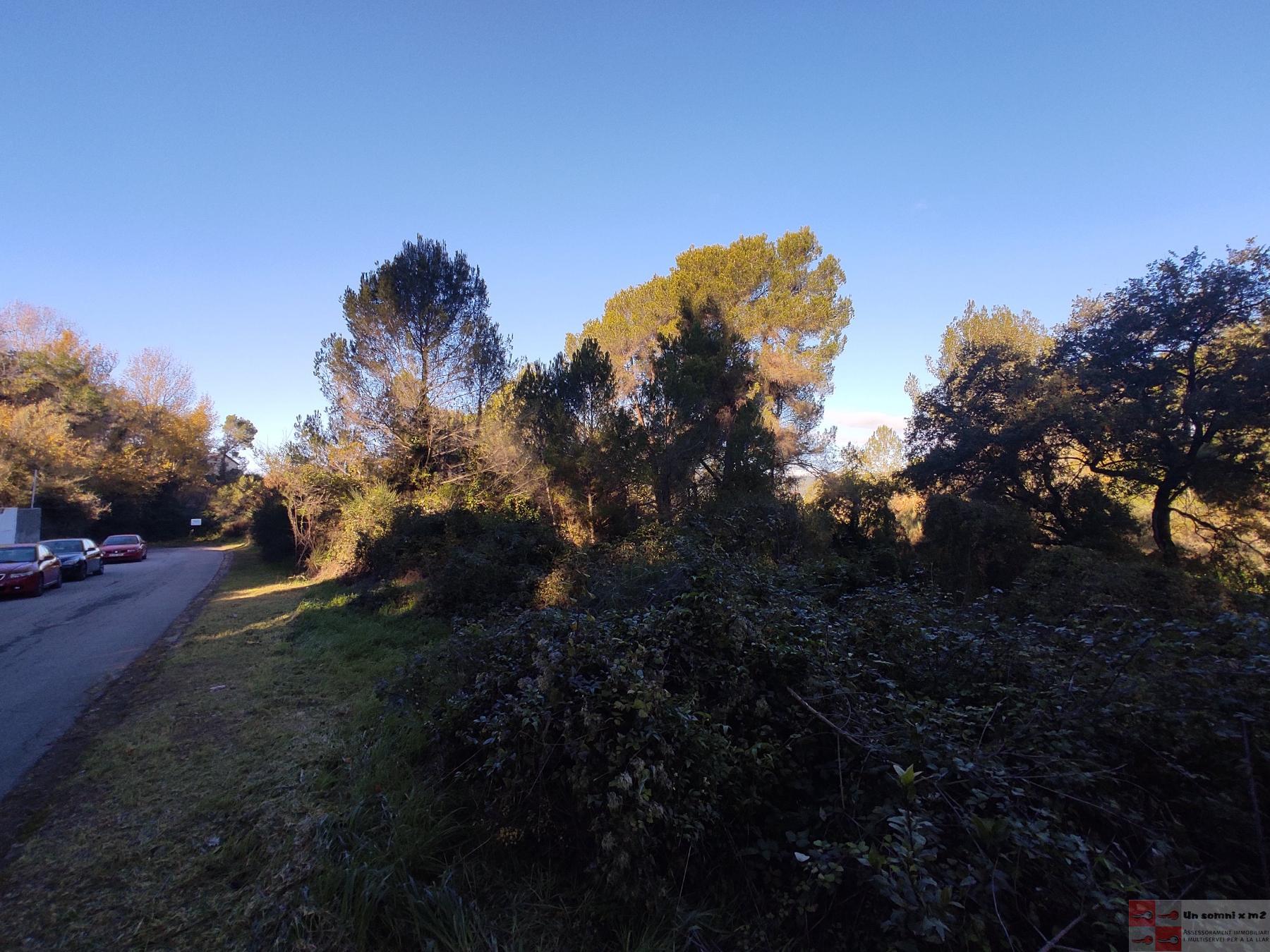 Venda de terreny a Piera