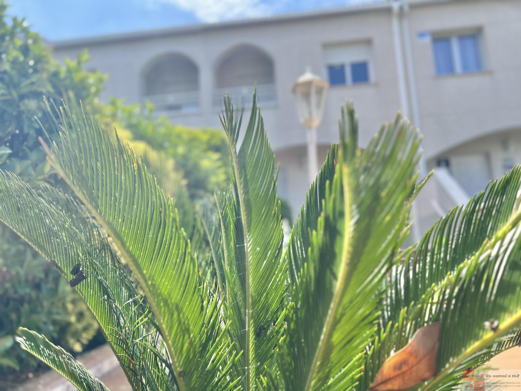 For sale of house in Piera