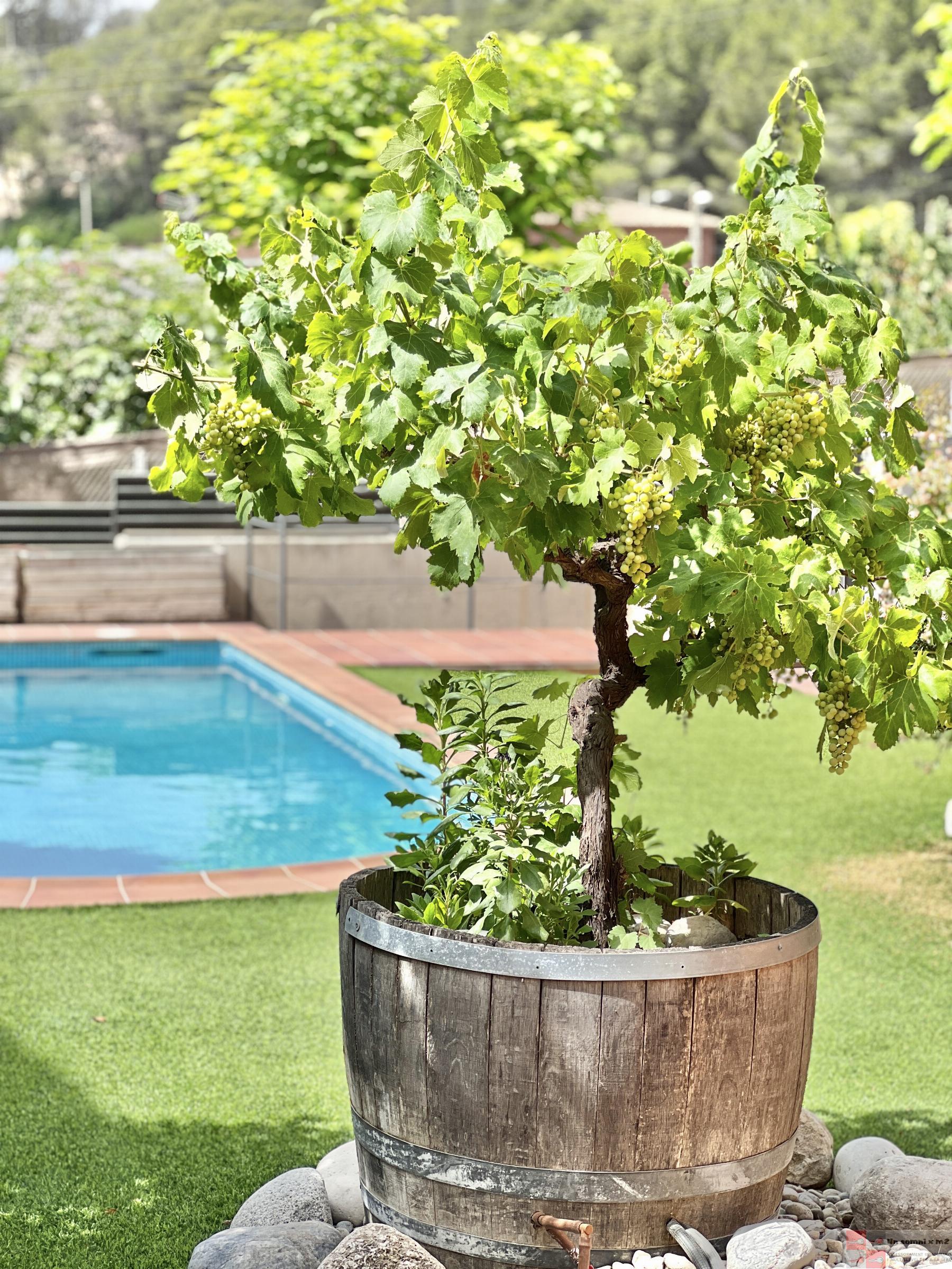 For sale of house in Piera