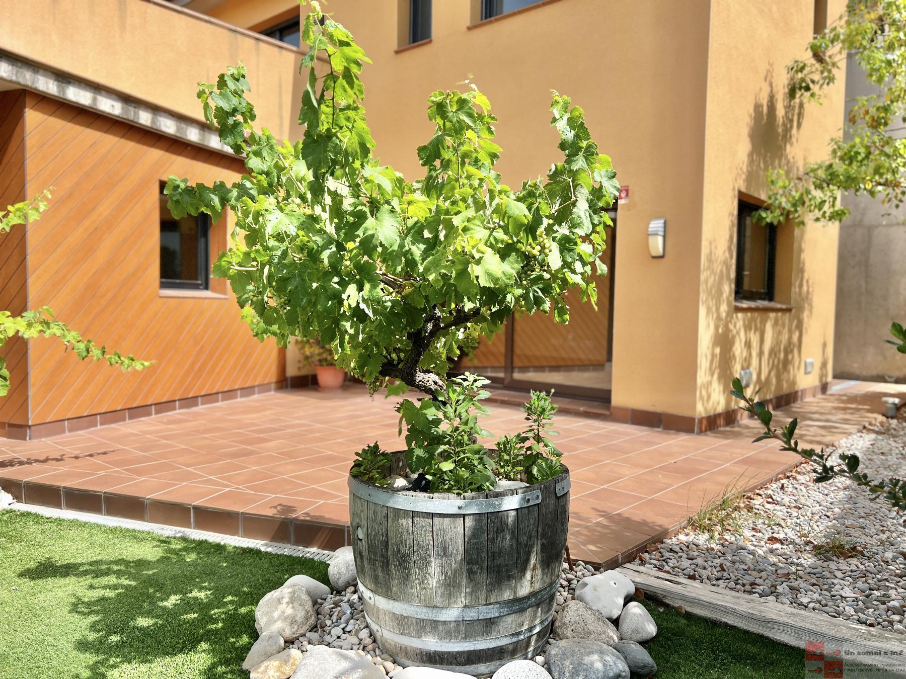 For sale of house in Piera