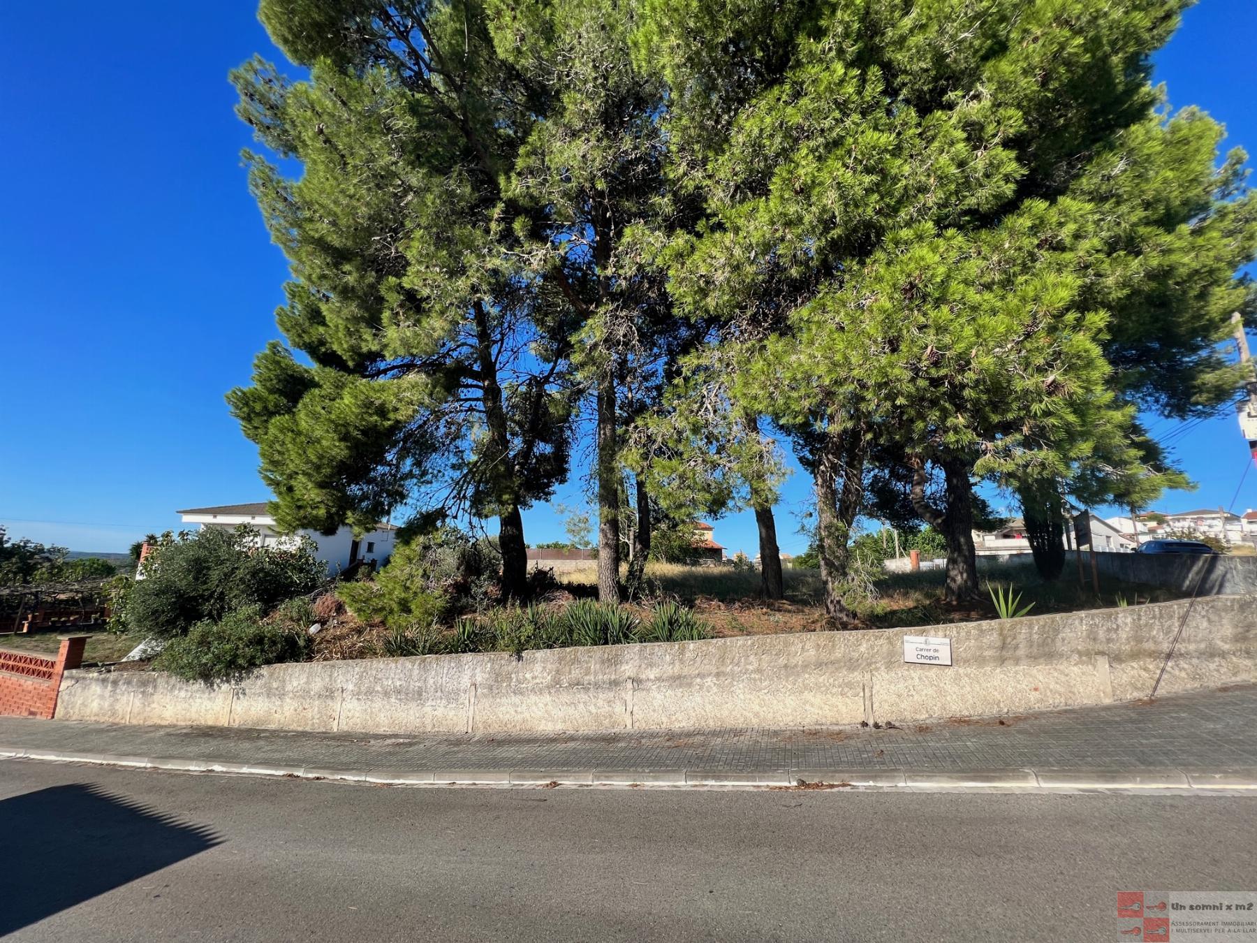For sale of land in Piera
