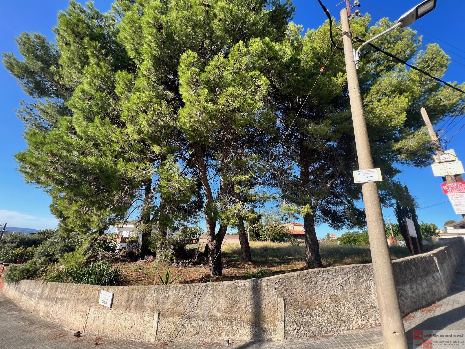 For sale of land in Piera