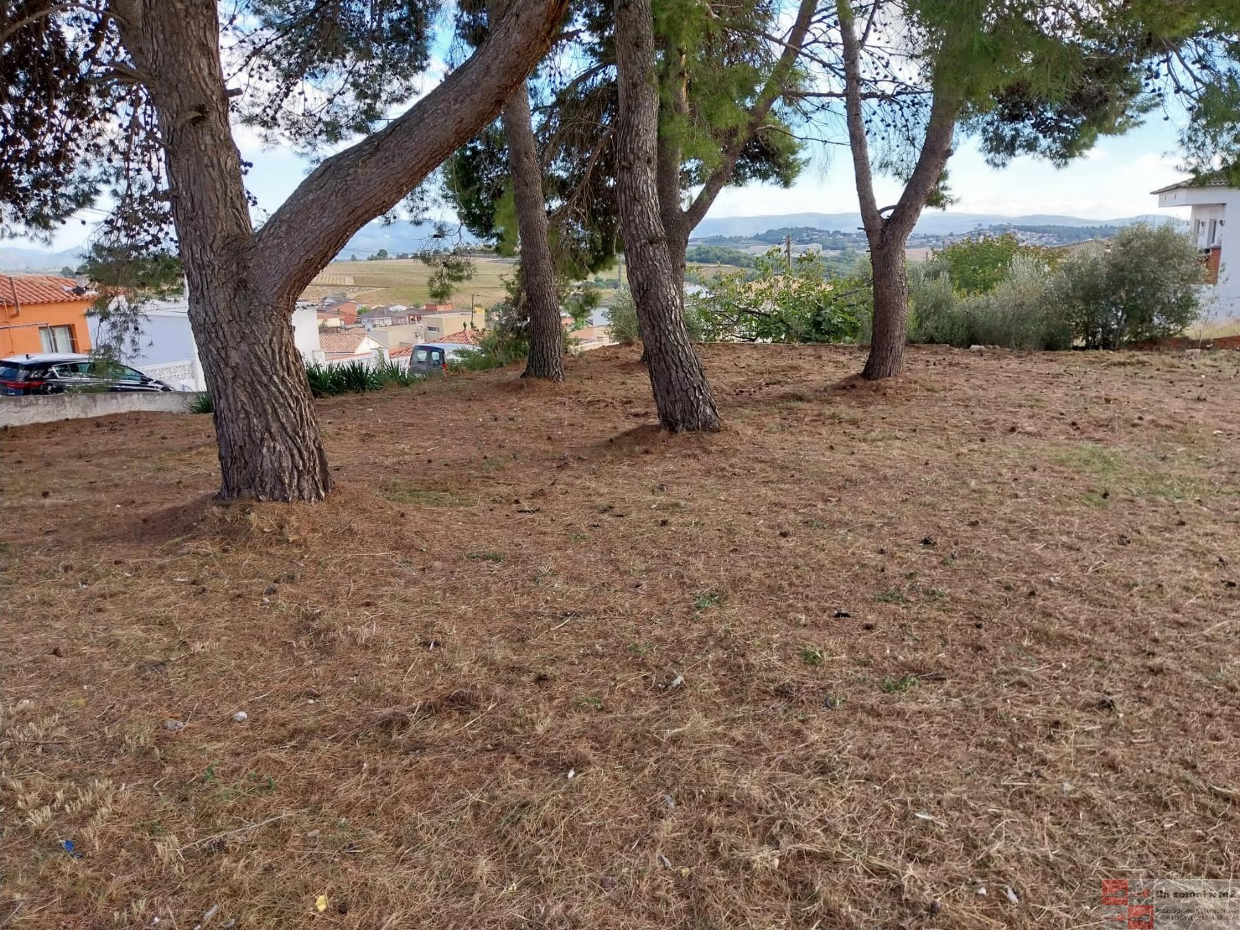 For sale of land in Piera