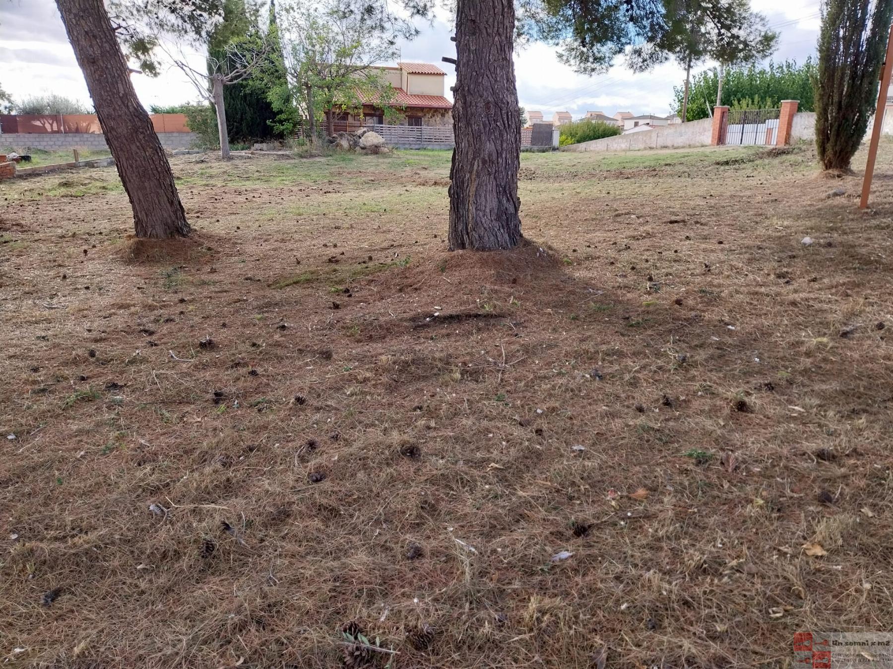 For sale of land in Piera