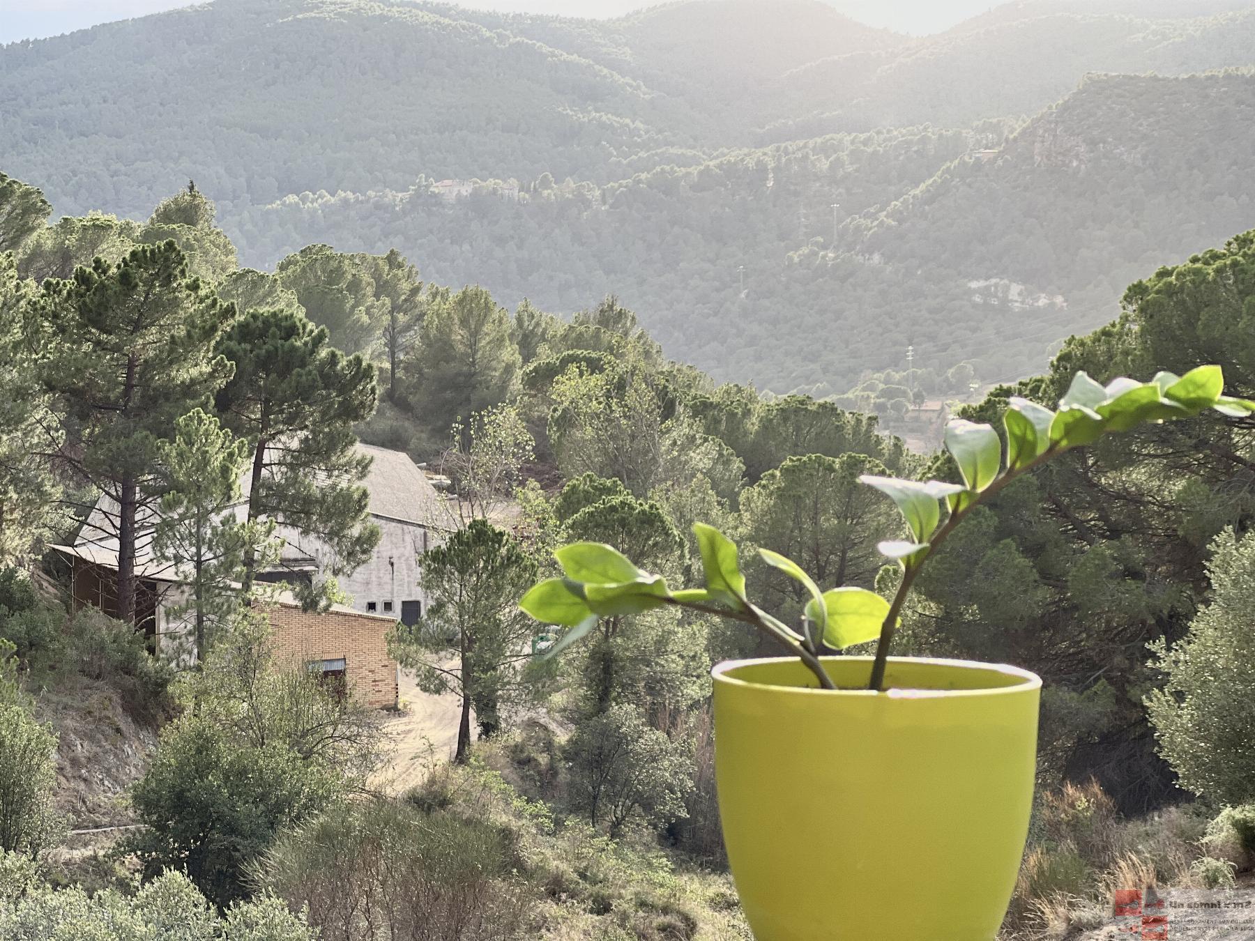 Venda de casa a Vallbona d Anoia