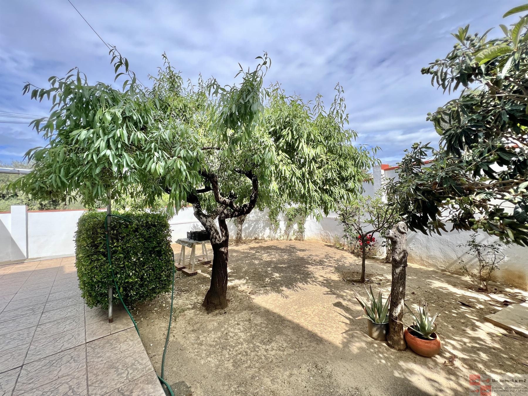 Jardín